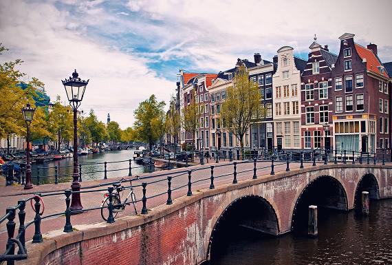 kakkerlakkenbestrijding-amsterdam