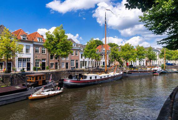 kakkerlakkenbestrijding-den-bosch