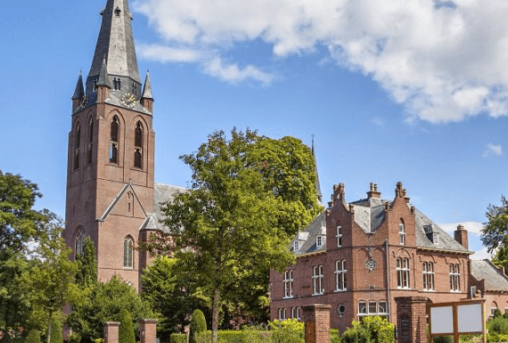 kakkerlakkenbestrijding-eindhoven