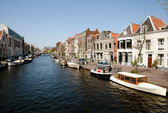 kakkerlakkenbestrijding-leiden