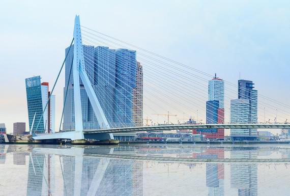 kakkerlakkenbestrijding-rotterdam